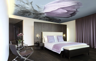 Натяжные потолки с фотопечатью